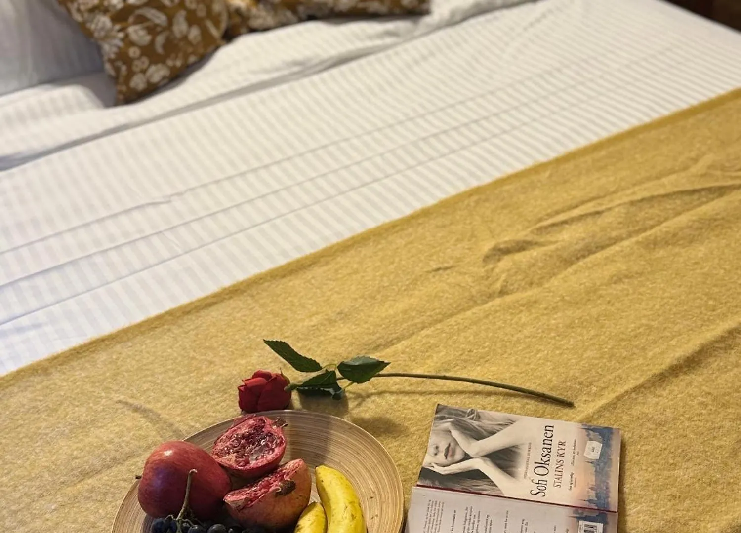 Romantic Bathtube Cismigiu Park 2 Room Apartment Bucharest