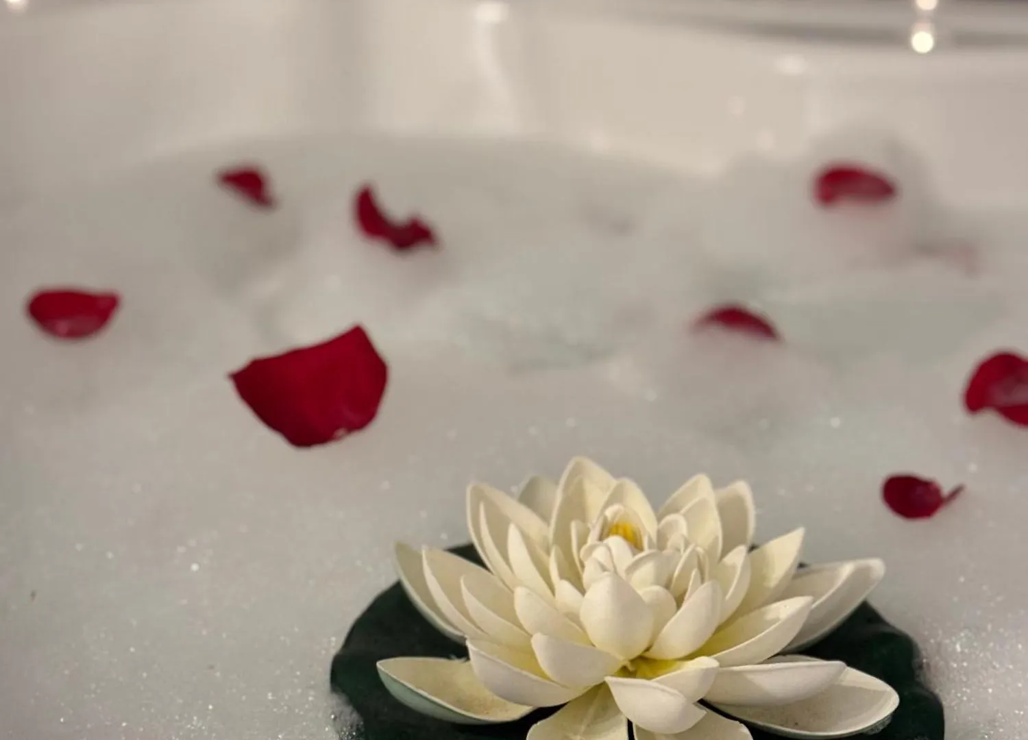Romantic Bathtube Cismigiu Park 2 Room Apartment Bucharest