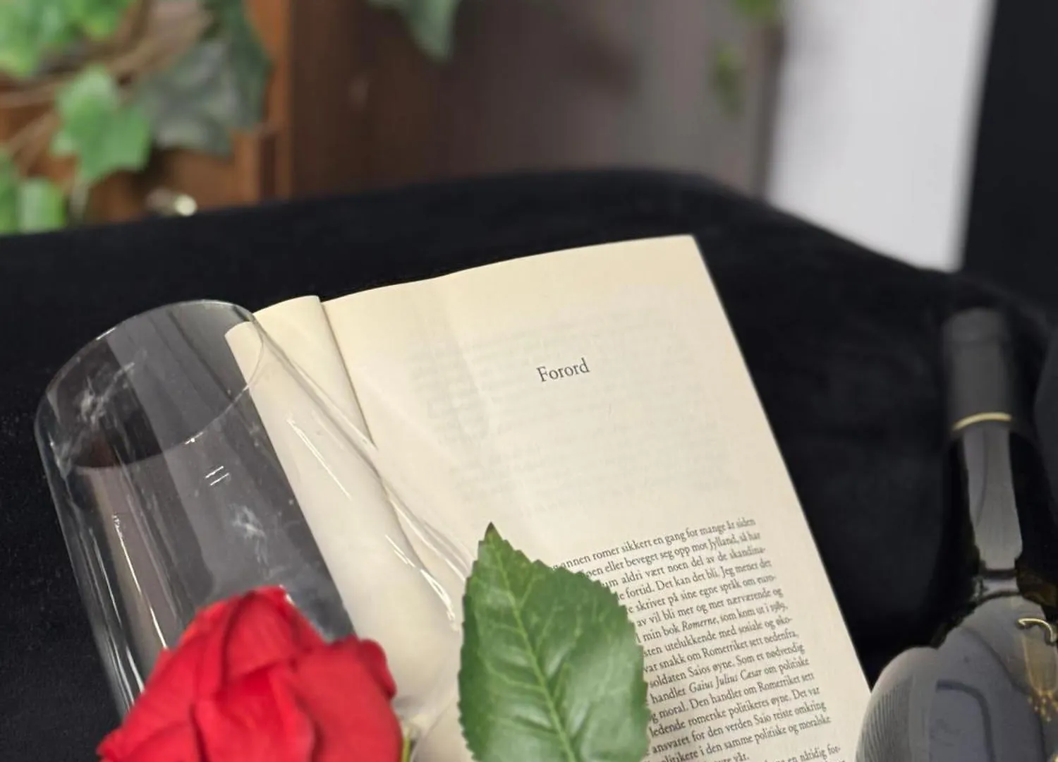 Romantic Bathtube Cismigiu Park 2 Room Apartment Bukurešť Rumunsko